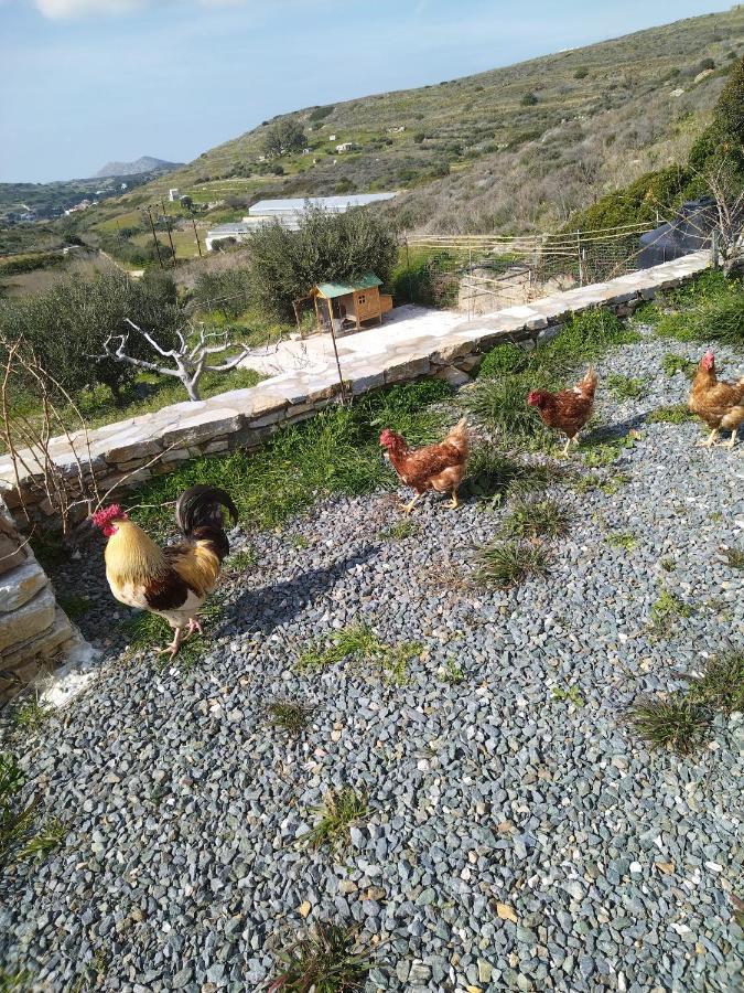 George Farmhouse Chrousa Bagian luar foto